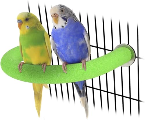 Papageien-Sitzstange mit rauer Oberfläche – Quarzsand Vogelkäfig Sitzstangen für kleine Sittiche, Nymphensittiche, Aras, Papageien, Liebesvögel, Finkenkäfige Spielzeug, U-Form (Grün S) von GYJZZW