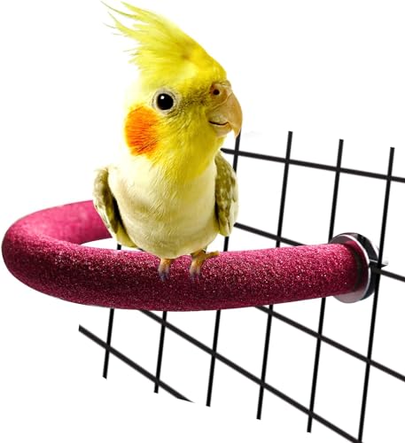 Papageien-Sitzstange mit rauer Oberfläche – Quarzsand Vogelkäfig Sitzstangen für kleine Sittiche, Nymphensittiche, Aras, Papageien, Liebesvögel, Finkenkäfige Spielzeug, U-Form (Rot S) von GYJZZW
