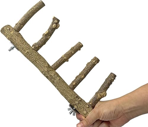 Papageienholz-Leiter aus natürlichem Pfeffer, Barschkäfig, Naturholzständer, Kauspielzeug, Papageien-Vogelkäfig, Zubehör, geeignet für kleine und mittelgroße Größen (1 Stück) von GYJZZW