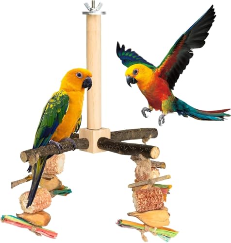 Rotierender Papageien-Sitzstange mit Kauspielzeug – Natürliches Vogelkäfigzubehör aus Holz, Vogelständer mit Laufrädern, Sitzstange aus Holz für kleine und mittelgroße Vögel (A1) von GYJZZW
