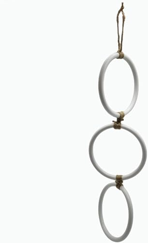 Schlangenanreicherungsringe für Ball, Python, Spielplatz, Kletterspielzeug für Maisschlange, Anreicherung, Spielzeug, Schlangenkletterzubehör (Weiß) von GYJZZW