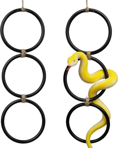 Schlangenkletterringe für Ballpython, Anreicherungsspielzeug für Maisschlange, Reptiletankkäfig, Dekoration, Lebensraumzubehör, Terrarium, Bartagame, Chamäleon, Leguan, Eidechse (schwarz), 2 Stück von GYJZZW