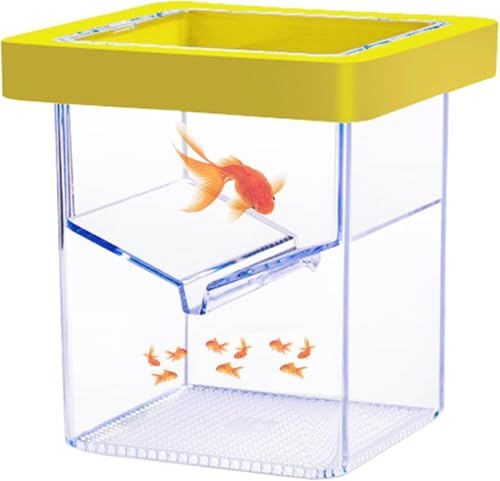 Schwimmende Fischzucht-Isolationsbox für Aquarium, Acryl-Isolationsbox für Babyfische, Clownfische, Betta-Eier (1 Stück) von GYJZZW