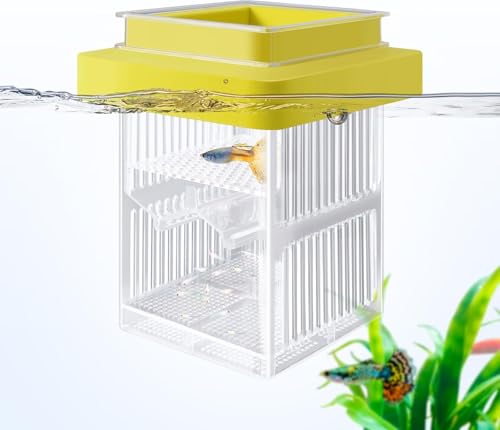 Schwimmende Zuchttanks für Aquarium, Fischtank-Züchterboxen mit Schlüpfbox und Isolationsbox, Acryl-Züchterfische mit Trennwand für Babyfische, Clownfische und Guppy (1 Stück) von GYJZZW