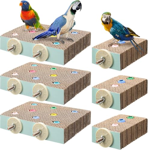 Ständer Spielzeug Papagei Karton Plattform Pfotenabschleifständer Papageienkäfig Spielplatz mit bunten Perlen Vogelkauspielzeug für Aras, Spatzen, Sittiche, Nymphensittiche, Nymphensittiche (6 Stück) Ständer Spielzeug Papagei Karton Plattform Pfotenabschleifständer Papageienkäfig Spielplatz mit bunten Perlen Vogelkauspielzeug für Aras, Spatzen, Sittiche, Nymphensittiche, Nymphensittiche (6 Stück) von GYJZZW