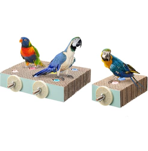 Ständer Spielzeug Papagei Karton Plattform Pfotenschleifständer Papageienkäfig Spielplatz mit bunten Perlen Vogel Kauspielzeug für Aras, Spatzen, Sittiche, Nymphensittiche, Nymphensittiche (2 Stück) von GYJZZW