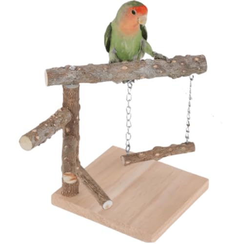 Vogel-Sitzstange, Vogel-Training, tragbare Tischplattform, Papageien-Fitnessstudio für Sittiche, Nymphensittiche, Sittiche, Finken, Wellensittiche, Lovebirds (Braun) von GYJZZW