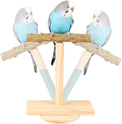 Vogel-Trainingsständer, Sittich-Spielplatz-Sitzstangen, tragbare Tisch-Sittiche, Sitzstange, Papageien-Sitzstange, T-förmiger Vogelspielständer für Sittiche, Nymphensittiche (A1) von GYJZZW