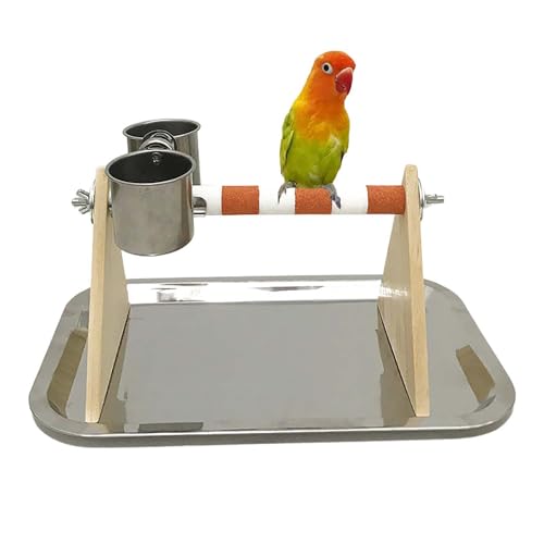 Vogel-Trainingsständer, Tisch-Vogelsitzstange mit Edelstahl-Futterschalen, Sitzstange, Papageien-Training, Spielplatz, Papageienkäfig, Spielzeug, Zubehör für kleine Sittiche (Orange, mit Tablett) von GYJZZW