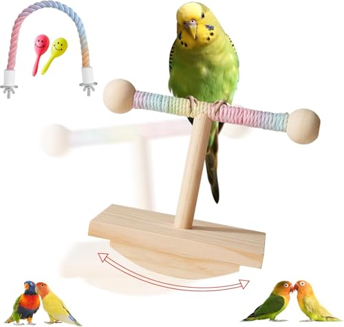 Vogelsitzstange für kleine und mittelgroße Papageien, um Energie zu erweitern, Holz-Vogelkäfig-Zubehör für Sittiche, Wellensittiche, Sittiche, Sittiche, Sittiche, Sittiche, Nymphensittiche von GYJZZW
