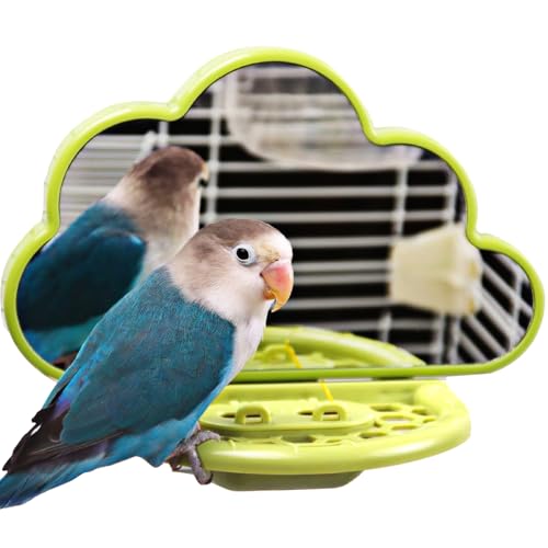 Vogelspiegel mit Sitzstange, Sittichspielzeug Schaukel mit Futterspender, Vogelkäfigzubehör für Papageien, Nymphensittiche, Sittiche, Finken, Kanarienvögel (Grün) von GYJZZW