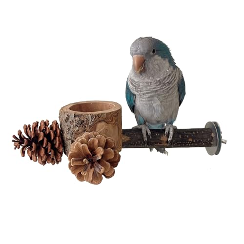 Vogelstange mit sicherer Schale aus Holz – Vogelspielzeug Kauspielzeug 100% natürlich & langlebig für Nymphensittiche, Sittiche, Wellensittiche, Sittiche – Vogelkäfig-Zubehör (A1) von GYJZZW