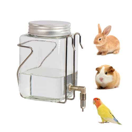 Wasserspender für Meerschweinchen, Kaninchen, tropffrei, geeignet für Totoro, Vögel, Hamster, Meerschweinchen und andere Kleintiere (750 ml) von GYJZZW