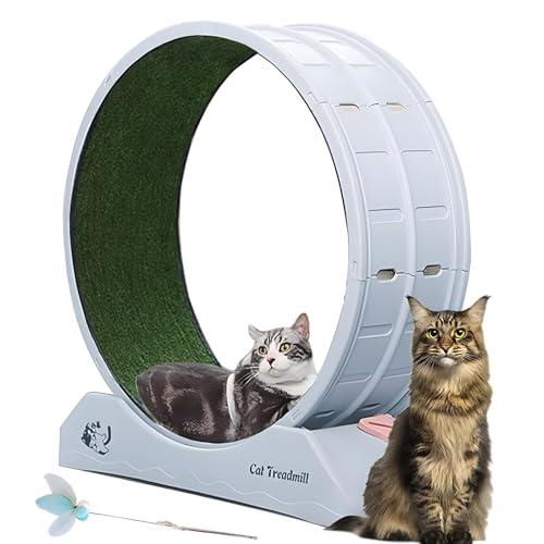 GYKLE Katzen-Trainingsrad, Katzenlaufrad mit Teppichlaufbahn, Katzenlaufband mit Bremse für Indoor-Katzen, tägliche Übung und Gewichtsverlust, 80 cm Durchmesser, kommt mit einem Katzen-Teaser von GYKLE