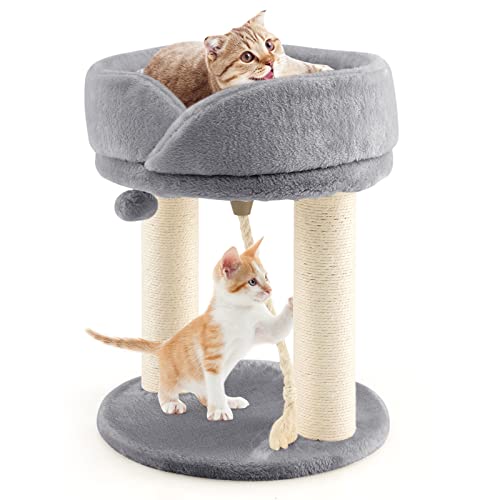 GYMAX Katzenbaum 50,5 cm hoch, Kratzbaum mit Katzenhaus & Hängende Kugel, Katzen Kratzbaum mit Sisal-Säule & Schwämme, Kletterbaum mit verstärkte Grundplatte, für Zuhause & Tierhandlung (Grau) GYMAX Katzenbaum 50,5 cm hoch, Kratzbaum mit Katzenhaus & Hängende Kugel, Katzen Kratzbaum mit Sisal-Säule & Schwämme, Kletterbaum mit verstärkte Grundplatte, für Zuhause & Tierhandlung (Grau) von GYMAX