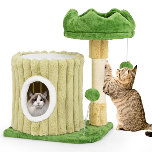 GYMAX Kompakter Kratzbaum 54 cm, Katzenbaum mit hängendem Spielzeug, Sisalpfosten, Katzenhöhle & gepolsterter Plattform, Kleiner Kletterbaum für Katzen GYMAX Kompakter Kratzbaum 54 cm, Katzenbaum mit hängendem Spielzeug, Sisalpfosten, Katzenhöhle & gepolsterter Plattform, Kleiner Kletterbaum für Katzen von GYMAX