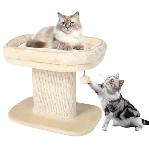 GYMAX Kratzbaum 50 cm hoch, Kletterbaum mit weicher Plüschsitzfläche, Katzenbaum mit Sisal-Kratzsäule & Ball, Katzenkratzbaum aus Holz, Aktivitätsbaum, kleine Katzenmöbel, Spielbaum (Beige) von GYMAX