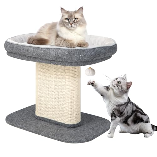 GYMAX Kratzbaum 50 cm hoch, Kletterbaum mit weicher Plüschsitzfläche, Katzenbaum mit Sisal-Kratzsäule & Ball, Katzenkratzbaum aus Holz, Aktivitätsbaum, kleine Katzenmöbel, Spielbaum (Grau) von GYMAX