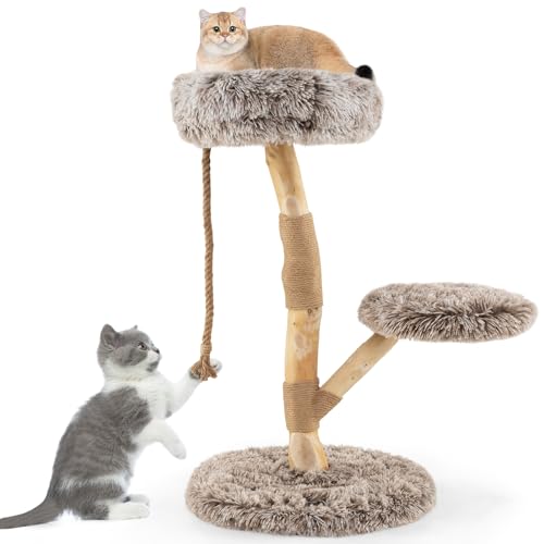 GYMAX Kratzbaum 90 cm, moderner Katzenbaum mit Luxuriöser Plattform, Spielseil, Naturbirnenholz, angenehmer Langflorstoff, Massiver Holz Kratzbaum für Hauskatzen GYMAX Kratzbaum 90 cm, moderner Katzenbaum mit Luxuriöser Plattform, Spielseil, Naturbirnenholz, angenehmer Langflorstoff, Massiver Holz Kratzbaum für Hauskatzen von GYMAX