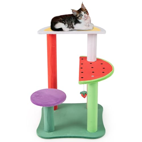 GYMAX Mehrstöckiger Kratzbaum 69 cm, moderner Katzenbaum mit obstförmigen Plattformen, Kratzsäulen & hängendem Spielball, Katzenkratzbaum, Kletterbaum für Kätzchen im Innenbereich GYMAX Mehrstöckiger Kratzbaum 69 cm, moderner Katzenbaum mit obstförmigen Plattformen, Kratzsäulen & hängendem Spielball, Katzenkratzbaum, Kletterbaum für Kätzchen im Innenbereich von GYMAX
