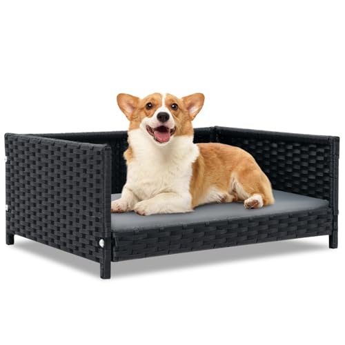 GYMAX Rattan Hundebett, Katzenbett mit abnehmbarem Kissen & Metallrahmen, erhöhtes Haustier Bett für kleine & mittelgroße Hunde, grau, 62 x 46 x 25 cm GYMAX Rattan Hundebett, Katzenbett mit abnehmbarem Kissen & Metallrahmen, erhöhtes Haustier Bett für kleine & mittelgroße Hunde, grau, 62 x 46 x 25 cm von GYMAX