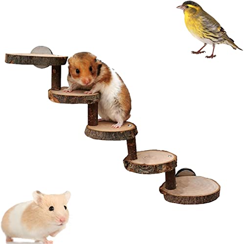 Hamster-Holzleiter, kleine Haustier-Kauspielzeug für Zucker, Maus, Chinchilla, Ratte, Rennmäuse und Zwerghamster? Zahnpflege Molarspielzeug von GYYJW
