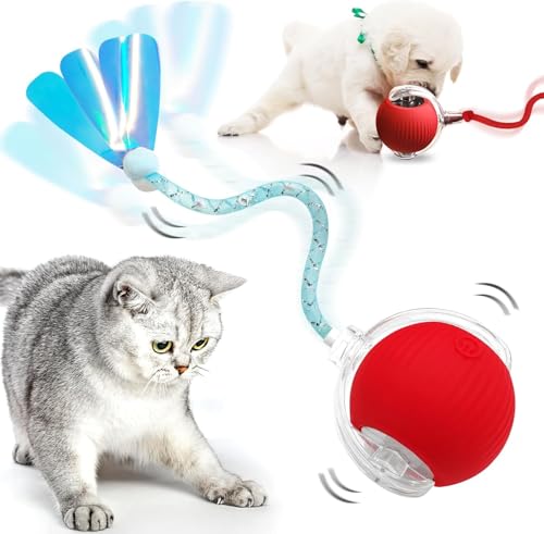 Interaktives Katzenspielzeug, Rollball, Hundeball, selbstrollender Hundeball, interaktives Katzenspielzeug, intelligenter automatischer Rollball für große und kleine Hunde, bewegungsaktiviert Interaktives Katzenspielzeug, Rollball, Hundeball, selbstrollender Hundeball, interaktives Katzenspielzeug, intelligenter automatischer Rollball für große und kleine Hunde, bewegungsaktiviert von GYZGirlover