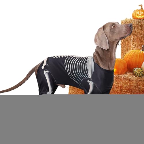 Hundekostüm, Skelett-Overall, Welpen-Body, Haustier-Halloween-Kleidung für tägliche Feiern, Versammlungen, Reisen, Cosplay, Outdoor, Freunde, Zuhause von GZBMEZS