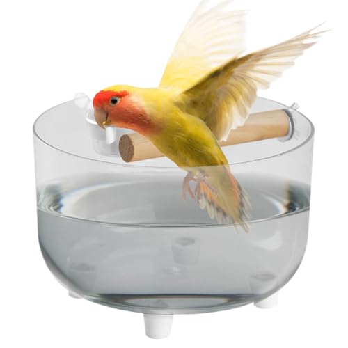 Schreibtisch-Trainingsständer für Vögel, Futternapf mit abnehmbarem Edelstahl, Vogel-Trainingsständer, Papageientoilette, Spielständer für kleine und mittelgroße Wellensittiche, Sittiche, Lovebirds Schreibtisch-Trainingsständer für Vögel, Futternapf mit abnehmbarem Edelstahl, Vogel-Trainingsständer, Papageientoilette, Spielständer für kleine und mittelgroße Wellensittiche, Sittiche, Lovebirds von GZBMEZS