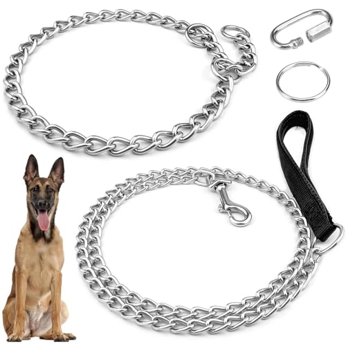 GZLCEU 1 STK Kettenhalsband Hund, 65cm Hundehalsband Kette mit 1 STK 128cm Hundekette Leine für Meisten Hunde Geeignet, Training und Spaziergänge(Edelstahl) von GZLCEU