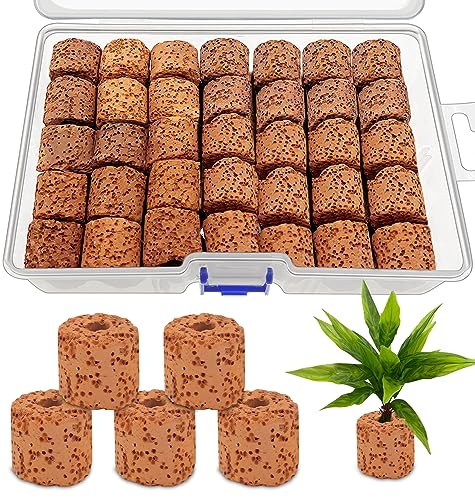 GZLCEU 50 STK Aquarium Keramikringe, 2.2 * 2 * 0.6cm Keramikringe Aquarium mit Box für Teiche,Aquariumtanks,Wasserflora Landschaftsbau,Befestigung Wasserpflanzen von GZLCEU