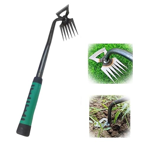 Unkrautstecher Edelstahl, Gartenwerkzeug Unkraut Entferner Gerät, Gartengeräte Wurzeljäter,Garten Zubehör Manuelles Unkrautjätgerät,Manueller Weeder Löwenzahnzieher Rasenmäher für Garten Rasen Hof (B) Unkrautstecher Edelstahl, Gartenwerkzeug Unkraut Entferner Gerät, Gartengeräte Wurzeljäter,Garten Zubehör Manuelles Unkrautjätgerät,Manueller Weeder Löwenzahnzieher Rasenmäher für Garten Rasen Hof (B) von GZWY