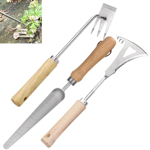 Unkrautstecher mit Stiel, 3 Stück Edelstahl Unkraut Entferner Gerät, Manueller Unkrautstecher Gartengeräte, Entwurzelungswerkzeug Unkrautjäter Gartenwerkzeug Wurzeljäter für Graben Umpflanzen (C) von GZWY