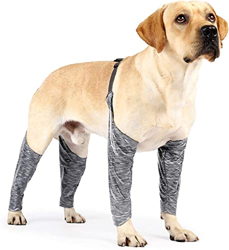 Hunde-Leggings zur Vermeidung von Lecken, Pinkeln, Hunde-Erholungsärmel, Hunde-Ärmel für Wunden vorne und hinten Beine, Grau Medium von GabeFish