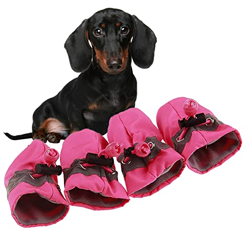 Weiche kleine Hundeschuhe, Welpen, leichte Schuhe für Sommer und Winter, rutschfeste Kätzchenstiefel zum Spazierengehen, Rosa, Größe 36 Weiche kleine Hundeschuhe, Welpen, leichte Schuhe für Sommer und Winter, rutschfeste Kätzchenstiefel zum Spazierengehen, Rosa, Größe 36 von GabeFish