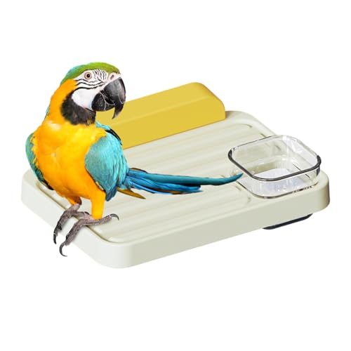Gacqpli Flat Barch für Vögel, Vogelstation | Papageistandstation - Papageienbrettregal Playground Cage Accessoires für Cockatiel Gern Chinchilla Hamster Shotet Conure Gacqpli Flat Barch für Vögel, Vogelstation | Papageistandstation - Papageienbrettregal Playground Cage Accessoires für Cockatiel Gern Chinchilla Hamster Shotet Conure von Gacqpli