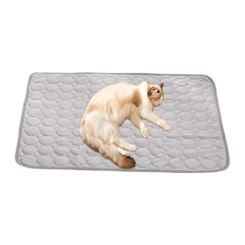 Gacqpli Hundekühlmatte Outdoor, Kühle Hundebetten Schlafdecke Wasserdicht, Zusammenklappbare Haustier Matte Bei Für Rasen Auto Park Wohnzimmer Picknick Gacqpli Hundekühlmatte Outdoor, Kühle Hundebetten Schlafdecke Wasserdicht, Zusammenklappbare Haustier Matte Bei Für Rasen Auto Park Wohnzimmer Picknick von Gacqpli