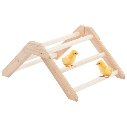 Gacqpli Küken Sitzstange - Holz Hühner Trainingsstand | Multifunktionaler Ständer Für Kleintierkäfig Geflügel Hamster Gacqpli Küken Sitzstange - Holz Hühner Trainingsstand | Multifunktionaler Ständer Für Kleintierkäfig Geflügel Hamster von Gacqpli
