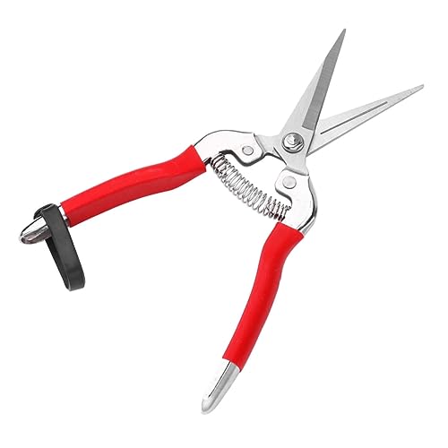 Gadpiparty Gartenschere astscheren hochastschere baumscheren Gartenschneidewerkzeug Pruning Shears Pfropfwerkzeuge Hecke Beschneidung Allzweckschere Obstbaumschere Rostfreier Stahl rot von Gadpiparty