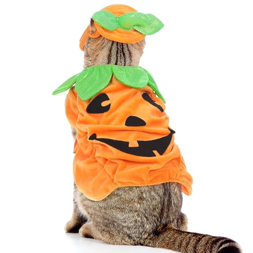 Gadpiparty Halloween Katze Kürbis Kostüm Verstellbares Haustier Halloween Kostüm mit Kürbishut und Outfit Kurzer Plüsch Orange für Katzen und kleine Hunde von Gadpiparty