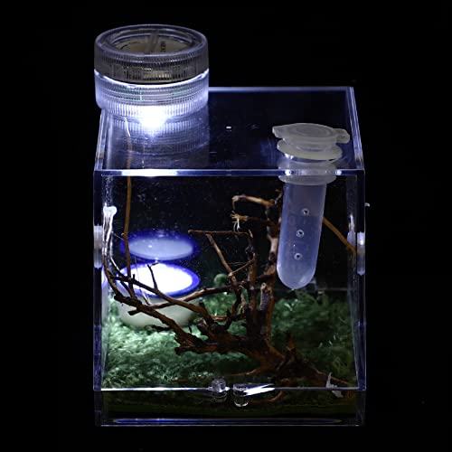 Gadpiparty Kasten Springspinnen-zuchtbox Eidechse Terrarium Lebensraumkäfig Für Schnecken Spinnenkäfig Aus Acryl Springspinnengehege Zubehör Gehäuse Klettern Zuchtbecken Kleine Spinne Keramik von Gadpiparty