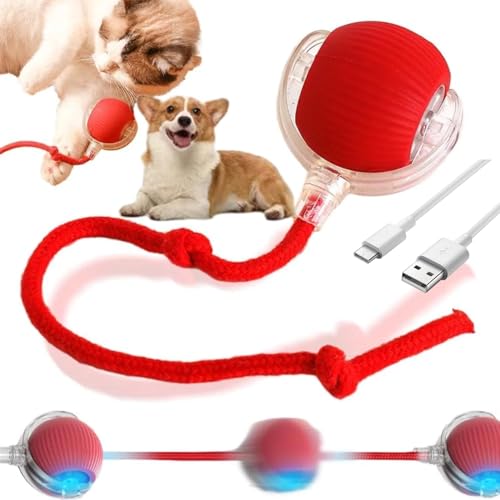Gahwa Interaktives Katzenballspielzeug, Interaktives Katzenspielzeug mit USB,Hundeballspielzeug,Intelligente Hindernisvermeidung Katzenspielzeug Elektrisch Ball,Hundeballspielzeug (Rot) von Gahwa