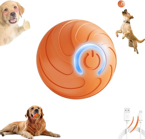 Gahwa Rolling Ball, Interaktives Katzenspielzeug Ball Elektrisch Interaktiver Spielball für Katzen Katzenspielzeug Selbstbeschäftigung Katzenball Hundespielzeug Interaktives (Orange) von Gahwa