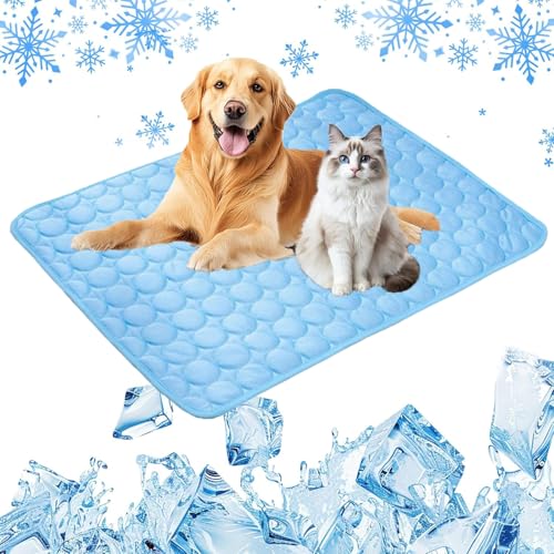 Kühlmatte Hund, 2025 Upgrade Kühldecke für Hunde und Katzen Hundekühlmatte Kühl Betten Kaltgelpad Haustier Matte Kühlpads Gel für Katen Hunde, Kühlende Hundematte (Blue, 50 * 60cm) von Gahwa