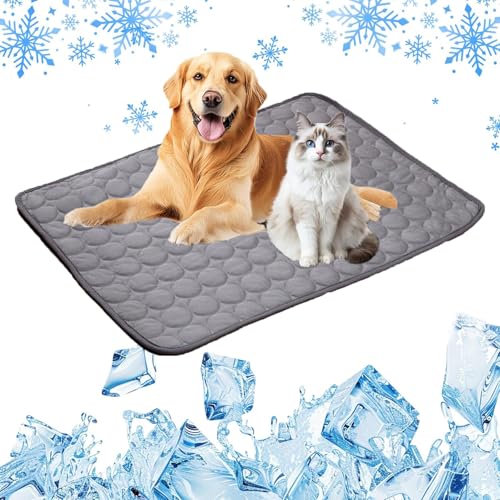 Kühlmatte Hund, 2025 Upgrade Kühldecke für Hunde und Katzen Hundekühlmatte Kühl Betten Kaltgelpad Haustier Matte Kühlpads Gel für Katen Hunde, Kühlende Hundematte (Dark Grey, 50 * 60cm) von Gahwa