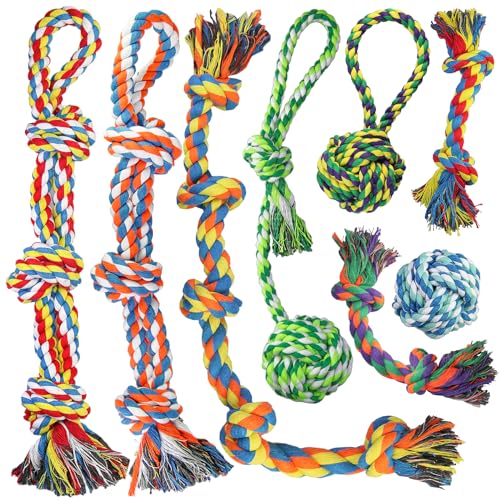 8PCS Hundespielzeug Seil für große und mittelgroße Hunde, Hundespielzeug für aggressive Kauer, Robustes Zahnspielzeug Seil für mittel Hunde – Beißspielzeug für Welpen, Starkes, stabiles–Tauziehen-Seil 8PCS Hundespielzeug Seil für große und mittelgroße Hunde, Hundespielzeug für aggressive Kauer, Robustes Zahnspielzeug Seil für mittel Hunde – Beißspielzeug für Welpen, Starkes, stabiles–Tauziehen-Seil von GaiusiKaisa