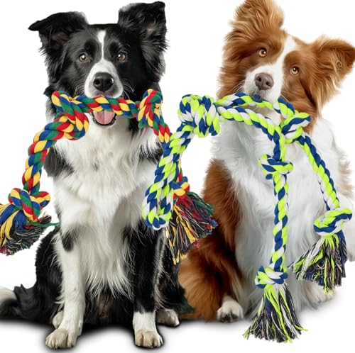 Seilspielzeug für große Hunde, für aggressive Kauer, 2 Stück, unzerstörbar, dickeres Hundeseilspielzeug für große Rassen – 100 % robustes Baumwollseil für mittelgroße Hunde zum Kauen, Zähneputzen Seilspielzeug für große Hunde, für aggressive Kauer, 2 Stück, unzerstörbar, dickeres Hundeseilspielzeug für große Rassen – 100 % robustes Baumwollseil für mittelgroße Hunde zum Kauen, Zähneputzen von GaiusiKaisa