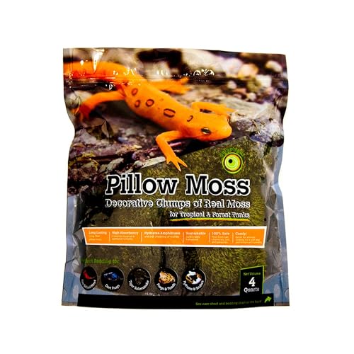 Galapagos (05234 Pillow Moos, Klumpen aus echtem Moos, Natur, 4QT von Galapagos