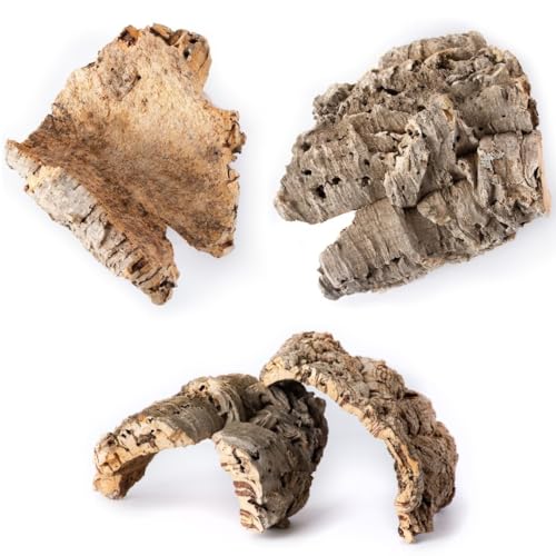 Galápagos (05501) Naturkorkrinde für Reptilien - ideal für Bartagamen, Schlangen und Geckos - Kletterzubehör für Terrarien, Schildkrötenbecken und Vogelkäfige, flach, 15,2 cm - 22,9 cm, Natur von Galapagos