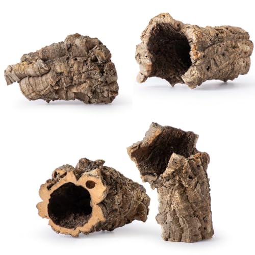 Galápagos (05505) Naturkorkrinde für Reptilien - ideal für Bartagamen, Schlangen und Geckos - Kletterzubehör für Terrarien, Schildkrötenbecken und Vogelkäfige, Rohr 17,8 cm - 22,9 cm, Natur von Galapagos